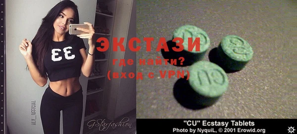 индика Алексин
