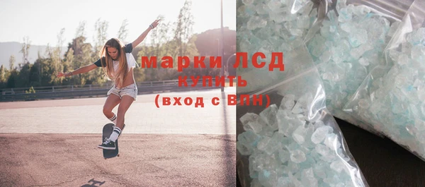 индика Алексин