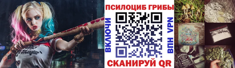 Псилоцибиновые грибы Psilocybe  Саров 